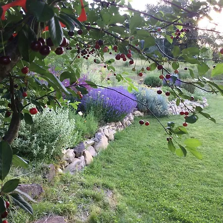 La Quercia Gentile *