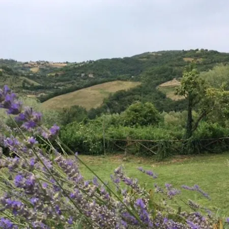 La Quercia Gentile *